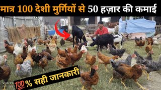 मात्र 100 देशी मुर्गियों से 50 हज़ार कमाना सीखें free ranj deshi poultry farm deshimurgipalan