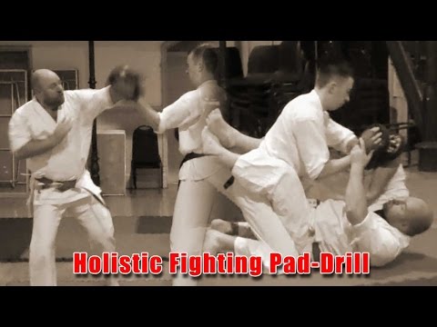 Practical Kata Bunkai: Holistic Fighting Pad-Drill