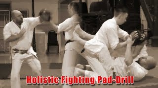 Practical Kata Bunkai: Holistic Fighting Pad-Drill