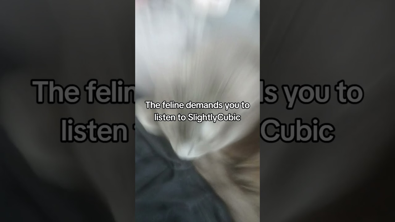 She gives good advice 