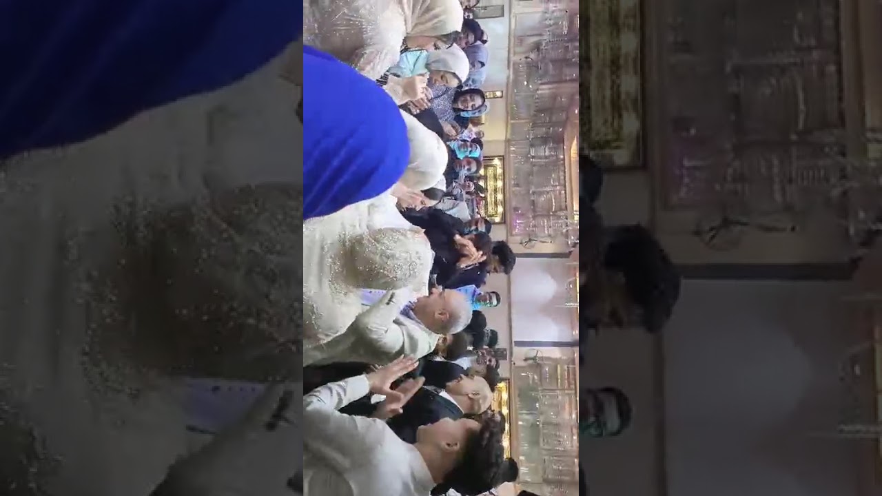 فرح ياسمين ابراهيم البنا 