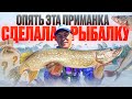 ВЕЧЕРНЯЯ РЫБАЛКА НА ОКЕ! ОПЯТЬ ЭТА ПРИМАНКА СДЕЛАЛА РЫБАЛКУ!