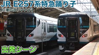 JR E257系特急踊り子 出発シーン【三菱IGBT-VVVF】