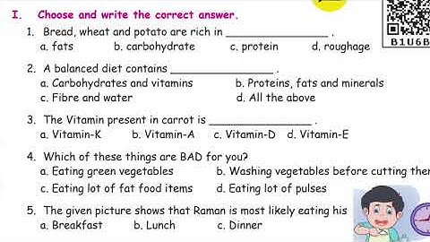 3rd standard unit 1 food book back questions second term science English Medium family tree channel
