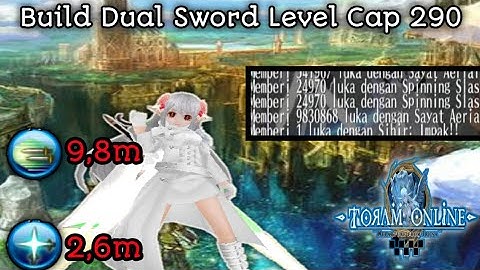 Build Dual Sword (DS) Agi Str Level Cap 290 - Toram online