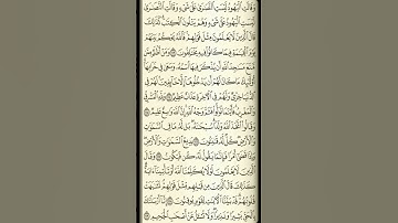 تلاوة سورة البقرة من الآية 113 إلى الآية 119