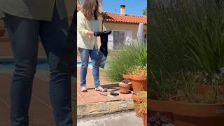 Planting out my daffodils #cottagegarden #garden #gardening #springgardening #flowers