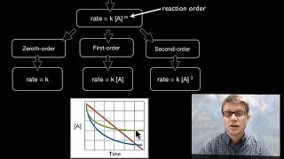 The Rate Law