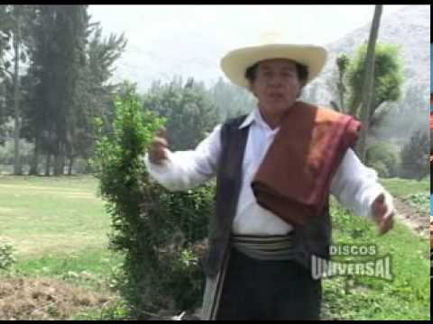 Cholo Cajabambino - El Solitario - YouTube