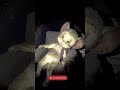 Tom & Jerry Are Dead… 😨 | AI Horror That Will Shock You