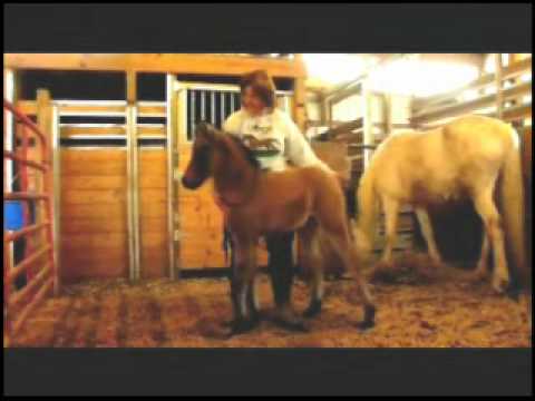 foundation brush คือ MtnTop Goodness Gracious - 2 weeks old - Retained