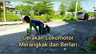 Gerakan Lokomotor - Merangkak dan Berlari