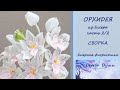 ОРХИДЕИ ч. 2/2. Цветы из бисера МК/Сборка композиции/beaded orchid/DIY