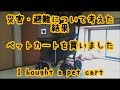 【猫】避難生活に必要でしょ！って思って、ペットカートを買いましたI bought a pet cart