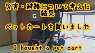 【猫】避難生活に必要でしょ！って思って、ペットカートを買いましたI bought a pet cart