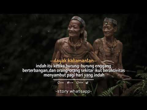 #Story WA Dayak Borneo🌳