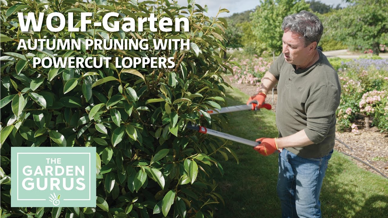 The Garden Gurus Featuring WOLF-Garten | Powercut Loppers
