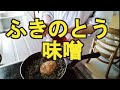 【ふきのとう味噌】苦みでデトックスできるよ！