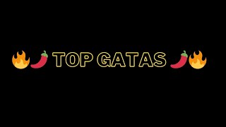 Top Gatas