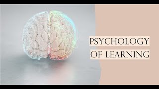 Decoding the Mind: A Journey Through the Psychology of Learning