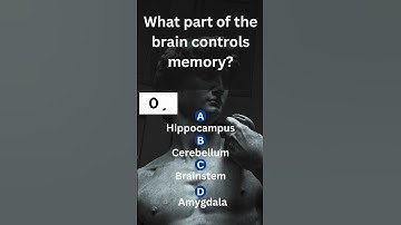 What Part of the Brain Controls Memory? | Quiz