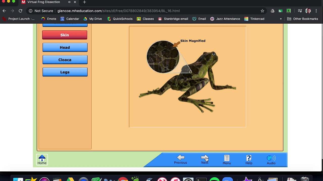 Virtual frog dissection free glencoe blueneed
