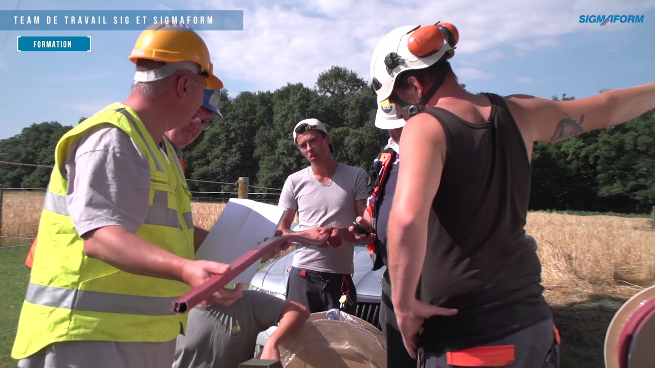 Protections de Lignes Aeriennes MT 20 kV Corsier GE