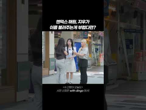 💌딩고 공식 팬 커뮤니티(withdingo.com) 오픈