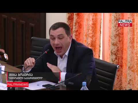 იყავით ჩუმად, როცა არ გისვამენ კითხვას - კამათი საგამოძიებო კომისიის სხდომაზე