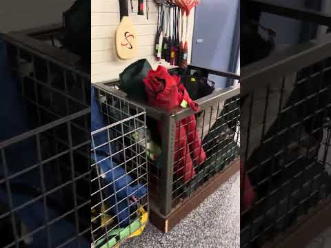 Thrifting EP:1 Looking for sports stuff  