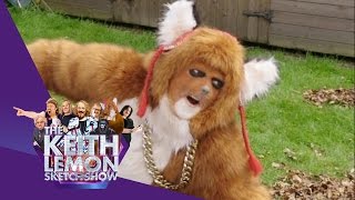 The Urban Fox Gets Caught In Illegal Traps | The Keith Lemon Sketch Show Series 2 Episode 5