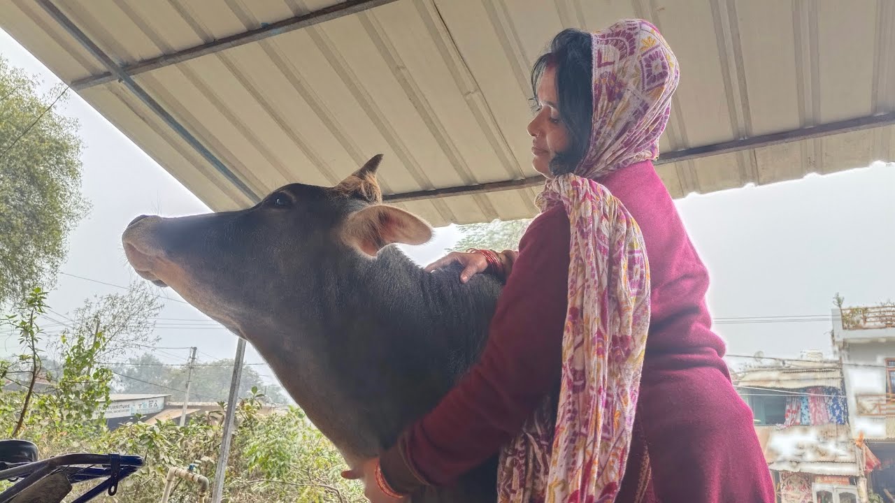 Mummy manda ko khila Rahi hai 