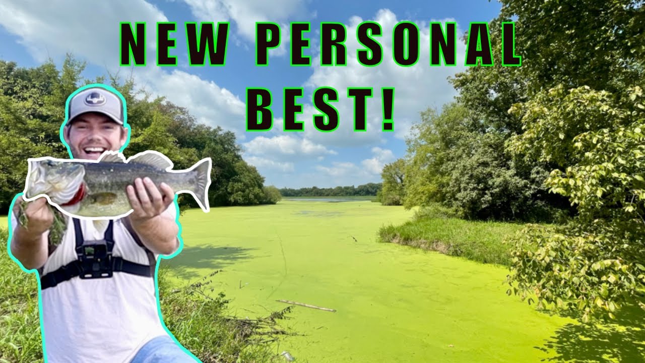 I caught my BIGGEST BASS!