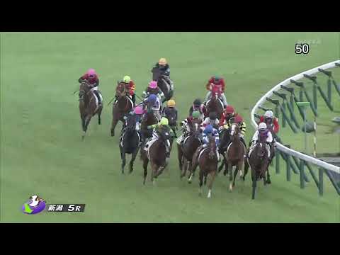 2022 08 20 新潟5R メイクデビュー新潟 ヴィアルーチェ