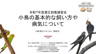 小鳥の基本的な飼い方や病気について（令和7年度適正飼養講習会