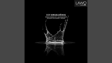 Thema mit Variationen: Var. 6