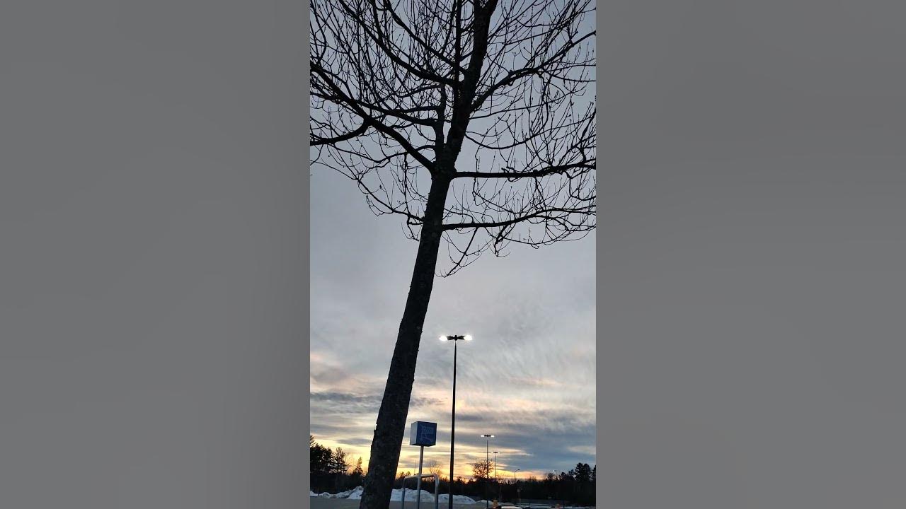 The moon and sunset March 11, 2025 in the Northwoods of Wisconsin shorts