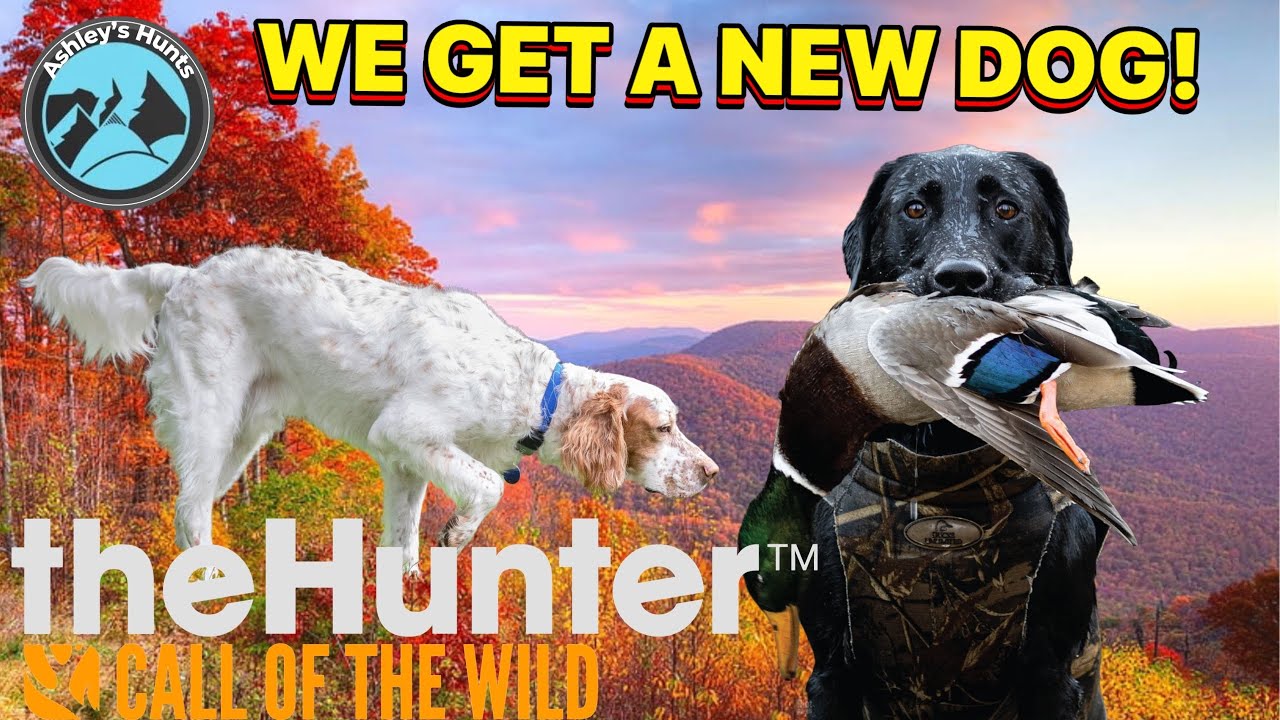 NEW DOG COMING TO THE CALL OF THE WILD!- The Hunter call of the Wild