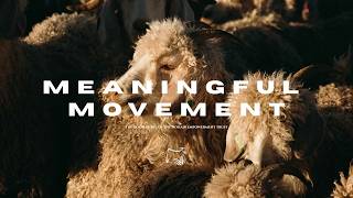 Meaningful Movement | The Good Story of The Mohair Empowerment Trust