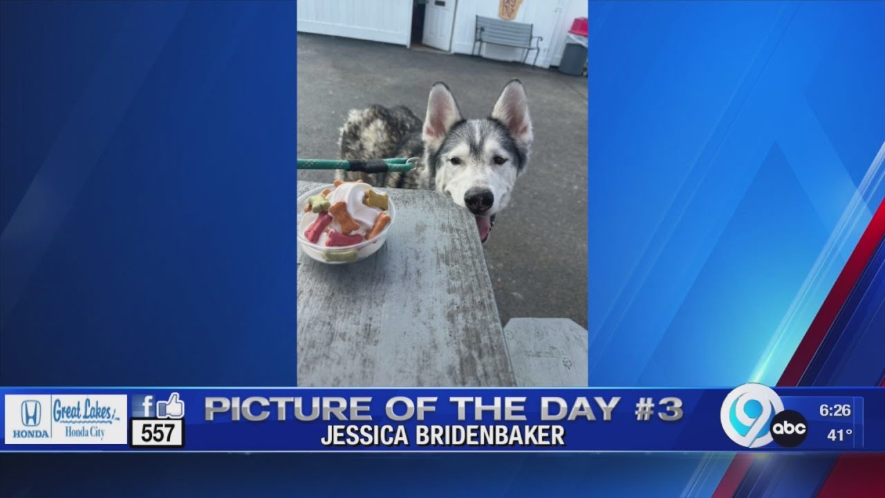 Picture Of The Day April 18 2023 YouTube picture-of-the-day-april-18-2023-youtube