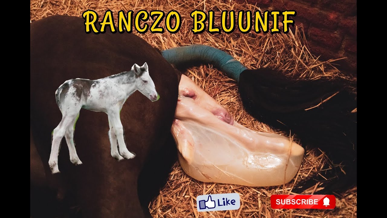 NIE MOGLIŚMY POWSTRZYMAĆ ŁEZ