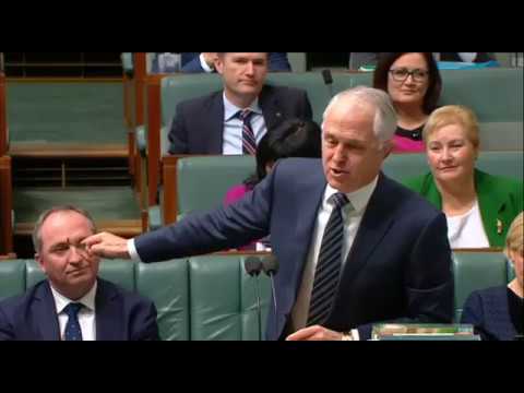 Bill Shorten delivers bad news that NZ has confirmed Barnaby Joyce is a Kiwi