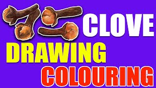CLOVE DRAWING AND COLOURING ||Clove drawing tutorial || Clove drawing easy || Clove ki drawing