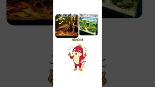 Hồ cá nước đục và hồ cá nước trong khác nhau ra sao? #shorts #cacanh #thuysinh
