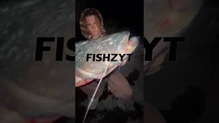 Catfish Attack !!!! #fishing #nays #fish #catfish