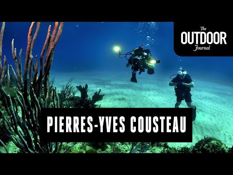 Video: Untuk Apa Jacques-Yves Cousteau Terkenal?