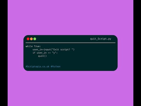 Python - Terminate a script with user input