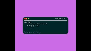 Python - Terminate a script with user input