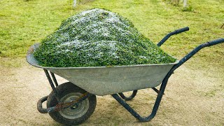 Ao ver isso, você nunca mais jogará resto de grama no lixo