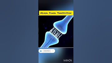 Neural Signal Transmission #Biology #Neural control and coordination #Animation video